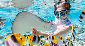 Marriott's Waikoloa Ocean Club is Now Open on Hawaii Island